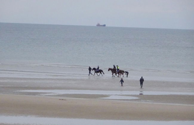 Lovely Norman Half-timbered House, Manneville La Raoult - Foto 24