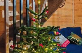 Domek Cichy Zakątek Beskid Niski - Foto 74