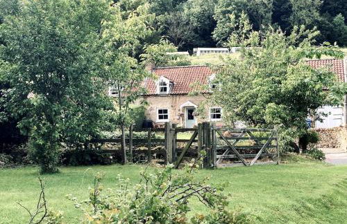 Robins Cottage cosy home hot tub quiet village - Foto 6