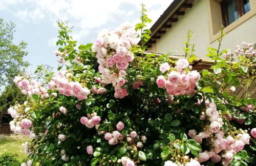 Holiday Home Villa im Grünen Civico 2 in Uzzano by Interhome - Foto 22