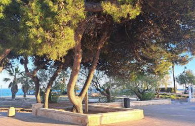 Apartamento Chilches Vistas al mar - Foto 23