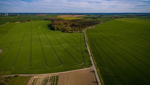 Ka:Ma Hof Uckermark - Photo 4