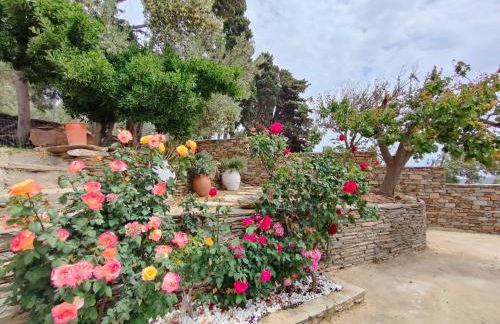 Amarienitas Suites - Foto 54