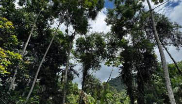 Casa Okê Paraty - Foto 2