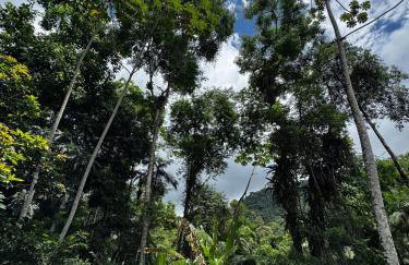 Casa Okê Paraty - Foto 2