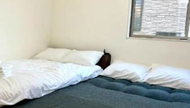 Gracious Higashi Shinjuku - Foto 4, Habitación