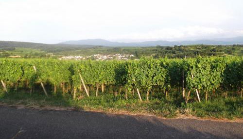 Ferienwohnung Feist - Foto 5