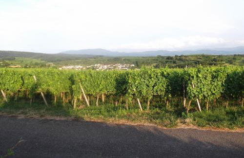 Ferienwohnung Feist - Foto 5