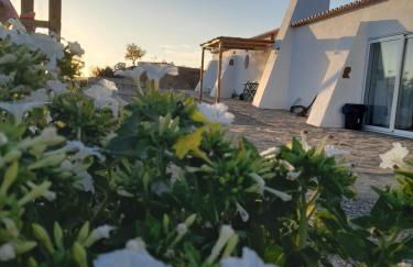 Natur Amêndoa - Photo 31