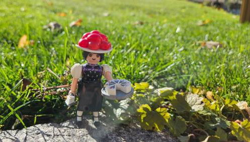 Oskar im Bärenhüsli - Foto 5