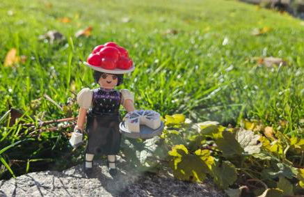 Oskar im Bärenhüsli - Foto 5