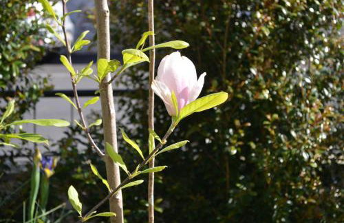 Beija-Flor House - Foto 57