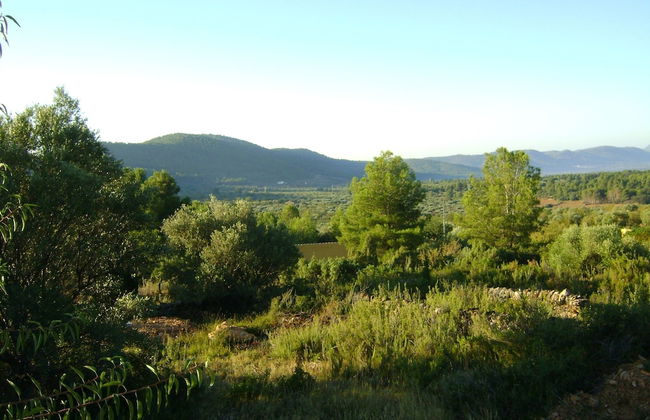 Belvilla by OYO Masia Vinaixa - Foto 39