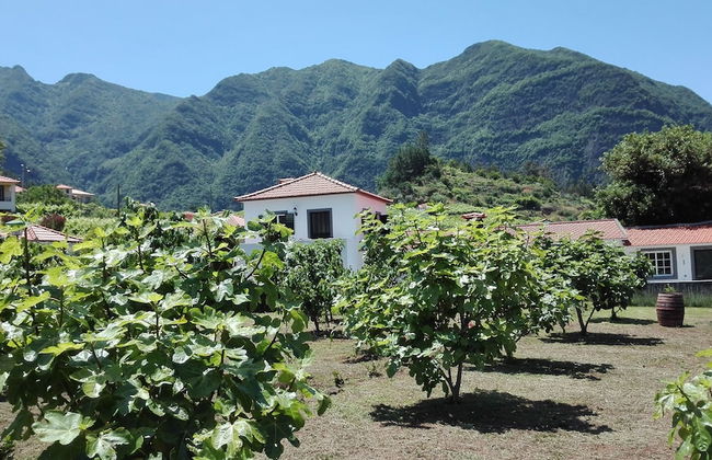 Grannys Farm - Foto 45