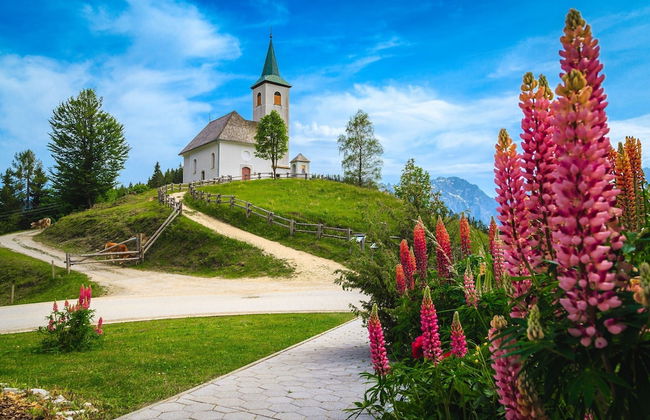 Shepperd Miha's House Private Ski Area - Foto 15