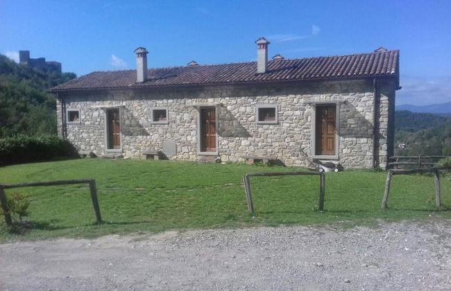 Le Chianine dei Tognoli - Foto 29