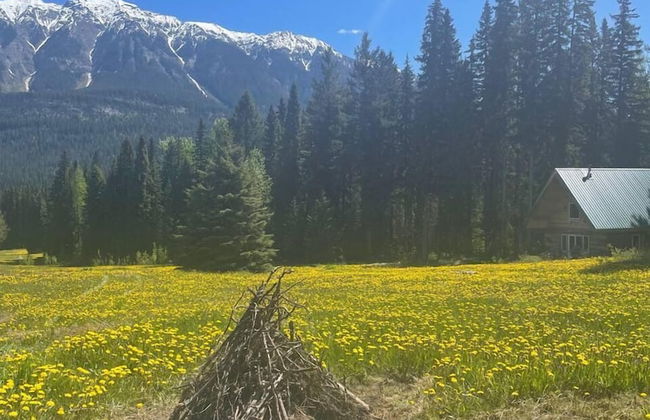 Rustic Beaverfoot Lodge Woodland Cabin - Photo 11