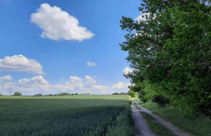Vierseitenhof Hasenfelde - Ferienwohnung Feldblick - Foto 18