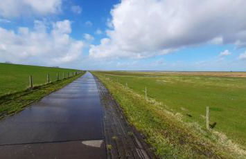 Apart-Lachmoewe-im-Moewennest-Tossens - Foto 21