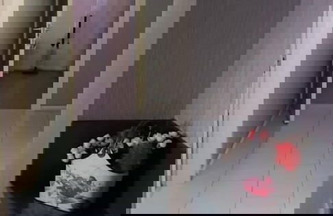 Apartment on Kandelaki Str. - Foto 10