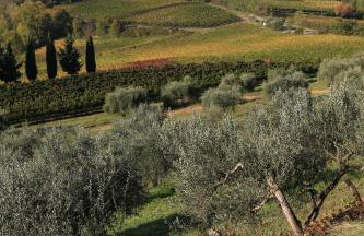 Borgo Poneta - Foto 118