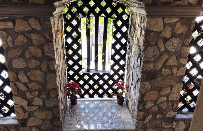 Cabo Vista Hotel - Adults only - Foto 29