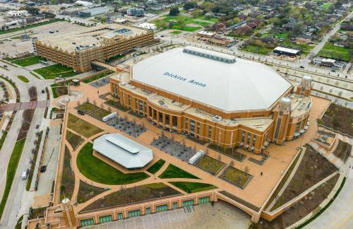 CinemaArcadeBabyProofedSleeps7DowntownFortWorth - Foto 43