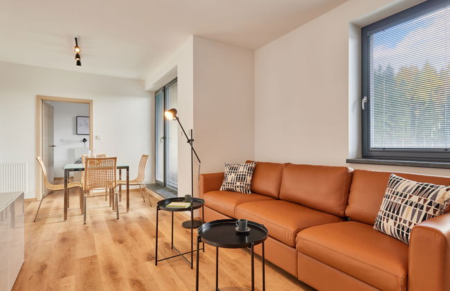 Černý Důl - Foto 2