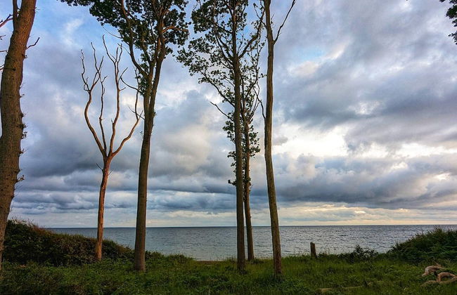 6 Person Holiday Home in Karrebaeksminde - Foto 20