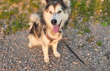 Gemütliches Apartment "Im Dörfle" - Foto 5