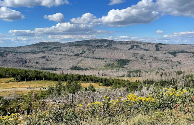 Ferienhaus in Schierke for 8 Personen - Photo 34