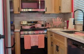 Viral Pink Home Houston B Hot Tub NRG Med Ctr - Foto 18