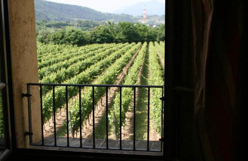 AGRITURISMO RIPA DEL BOSCO - Foto 8