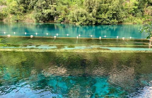 La casa del timo - The house of thyme - Foto 11