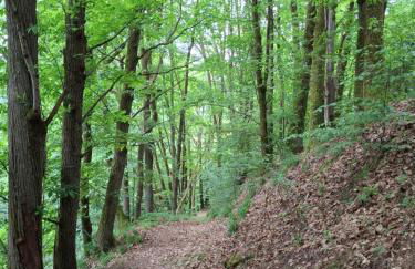 Auszeit Wunschblick - Foto 52