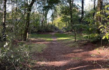 bungalow104 keybox starlink wifi tv woods pittoresque lidl restaurant P biophilila x5 - Foto 6