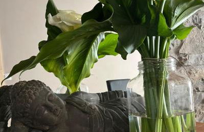 Zen Casa House - Foto 31