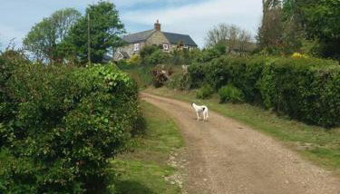 The Bake House (Berryl Farm Cottages) - Foto 4