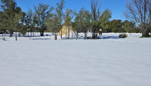 Apt 1- High Plains Lodge at Nomad Landing - Foto 3