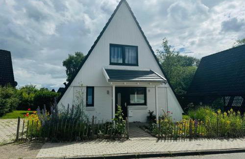 Sternkieker - Photo 23