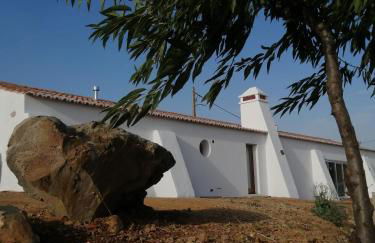 Natur Amêndoa - Foto 64