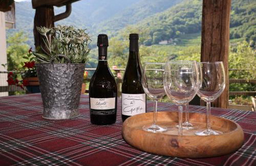 Casa Pracol - Photo 34