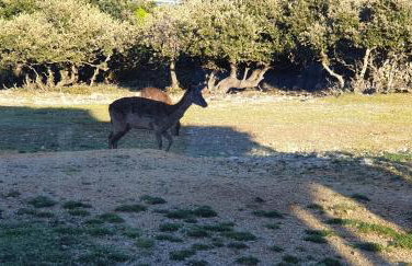 Holiday home Verin - Foto 46