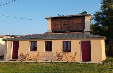 Araucaria House - Foto 54