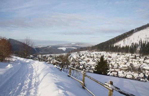 Ferienhaus Haus am Medebach - Foto 49
