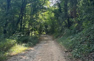 Gite dans ancien moulin - Foto 35