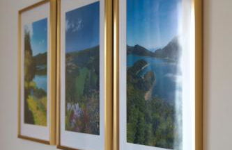 Charlotte's Place - Photo 14