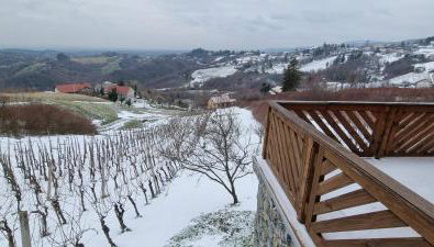 Wine Panorama house - Foto 5