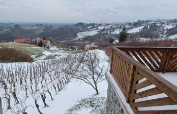 Wine Panorama house - Foto 5