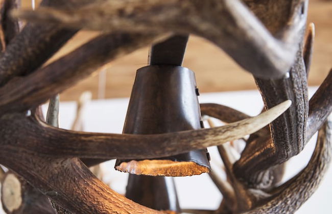 Moose Lodge - Foto 63